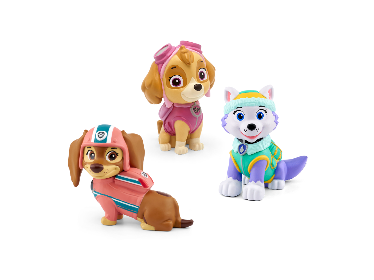 PAW Patrol Bundle "Fellfreundinnen"