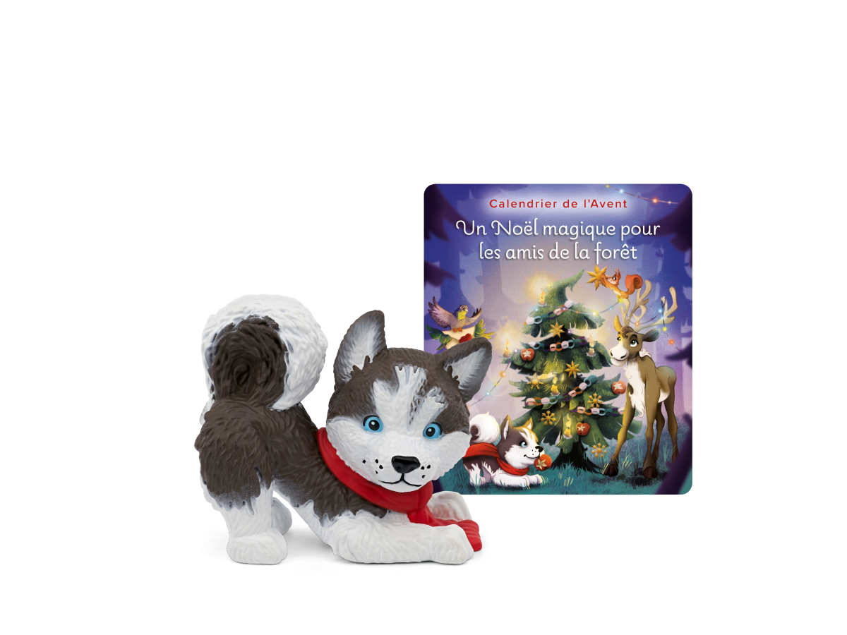 Un Noël Magique Pour Les Amis De La Forêt